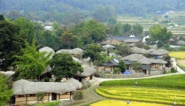 외암민속마을 보조금 집행 잡음…시민단체, 근본 대책 촉구
