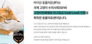 [단독]동물병원 고양이 친화병원 마케팅에 허위, 과장 광고 주의보 