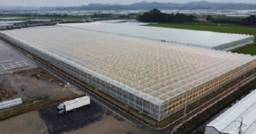 9월 상장 우듬지팜 혹한기∙혹서기에도 안정적 재배 한국형 스마트팜 개발...글로벌 개척 나서