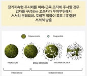 [포스트IPO] 약효 오래 지속되는 기술 인벤티지랩... 비만약 출시 기대감으로 주목↑