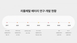 미래 선점...차세대 배터리 리튬메탈 배터리 투자 나선 대기업들