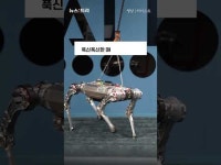 [영상] 모래사장도 거침없다…달리는 사족로봇 