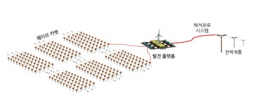 태양광의 100배…바다에 띄워 놓았더니 전기가 척척