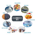 버려진 왕겨와 커피박...플라스틱 대체하는 첨단신소재가 되다