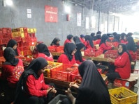 [뷰펠]숲도 지키고 농민도 살려야죠...농촌 바꾸는 인니 기업