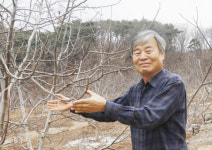 수륜에서 푸근한 인정과 넉넉한 인심을 느낍니다 / 김기출 성주 호두향농원 대표
