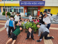 성주군 가천초, 식목일 맞아 교화 심기로 학교사랑 실천