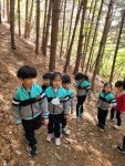 성주초원아, 가야산 숲유치원 프로그램 참여