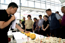 베타카로틴 참외 수직 수경재배 기술 개발