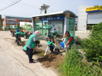 성주군 초전면 새마을회, 버스승강장 청소