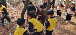 성주초병설유치원, 숲유치원 ‘봄 마중’ 활동
