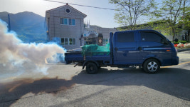 성주 수륜면, 조기 방역소독 활동