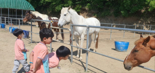 성주초유치원, 승마 및 목장체험활동