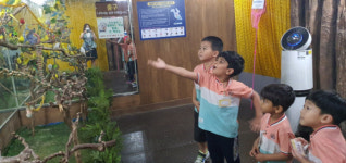 성주초병설유치원, 대구 아쿠아리움 체험