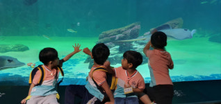 성주초병설유치원, 대구 아쿠아리움 체험