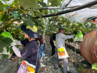 성주 월항면, 영농철 맞이 농촌일손돕기
