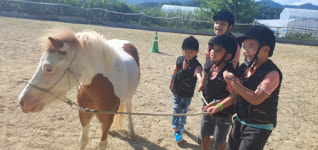 성주초병설유치원, 가을맞이 승마 체험활동