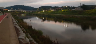 성주 물길을 따라 생태공원의 가치 찾기 ② / 별빛이 흐르는 이천을 걷다 보면