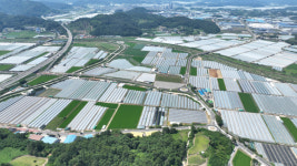 성주2일반산단 연결도로 임시개통