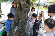 성주 수륜초, 농어촌 참 좋은 학교 최종 선정