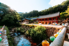 [짙어진 여름 향기] 경북 김천서 청량함을 느끼세요