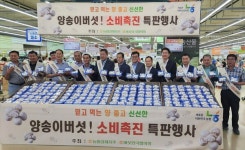 농협 하나로마트, 버섯 소비촉진 특판 행사 실시