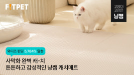 핏펫, 캐치매트 크라우드 펀딩 5784% 달성
