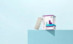 한국반려동물영양연구소 닥터레이… 일본에서도 통했다