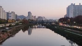 지혜와 돌봄, 그리고 노을 한 스푼- 한내 지혜의 숲 도서관