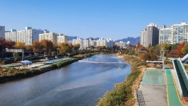 지혜와 돌봄, 그리고 노을 한 스푼- 한내 지혜의 숲 도서관