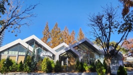 지혜와 돌봄, 그리고 노을 한 스푼- 한내 지혜의 숲 도서관