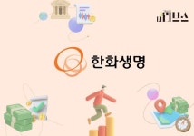 [보험사 자본 현주소] 체급 키운 한화생명, 자본 구조 개선 과제