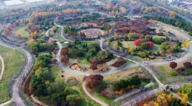 재방문 의사 99% 26만명 다녀간 드림파크 야생화단지