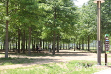 [포토] 더위 날리는 황산힐링숲으로 놀러오세요