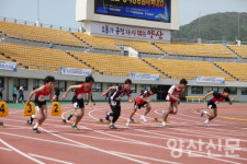 양산 육상 유망주 56명, 도대표 나선다