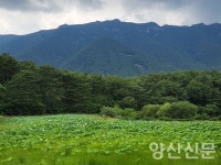 Ⅱ. 通度, 구도(求道)의 길 (89) 한암중원(漢巖重遠) 대사