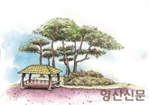[왕초보가 그리는 어반스케치]-임미송