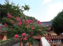 Ⅱ. 通度, 구도(求道)의 길 (94) 성암석구(性庵錫九) 대사