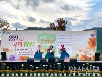가을축제 어디로 갈 꺼야?…양산시 가을축제 6선