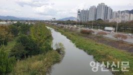 부산 지방정원 제1호 삼락생태공원, 낙동강 하구 최대 규모 정원에 거는 기대