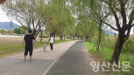 부산 지방정원 제1호 삼락생태공원, 낙동강 하구 최대 규모 정원에 거는 기대