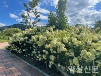 4계절이 거창할 만큼 아름다운 창포원에 놀러오세요