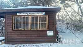[포토] 새하얀 신불산 고산습지