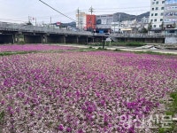 2024년 봄,  덕계동에 오신 봄 손님을 소개합니다.