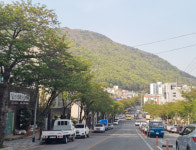 물금 오봉청룡로·웅상상가1번가, 경남골목상권지원 선정