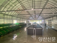 양산시 직영 로컬푸드 직매장, 오는 31일 개장