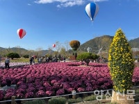 26일 하루종일 황산공원에서 축제 즐겨봐
