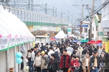 원동매화축제, 활짝 핀 매화 기대한 상춘객 아쉬움