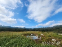 훼손위기 맞은 능걸산 고산습지, 대책마련 시급