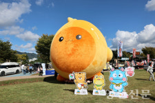 국화·에그·반려동물까지…황산공원, 가을 복합문화축제 한마당